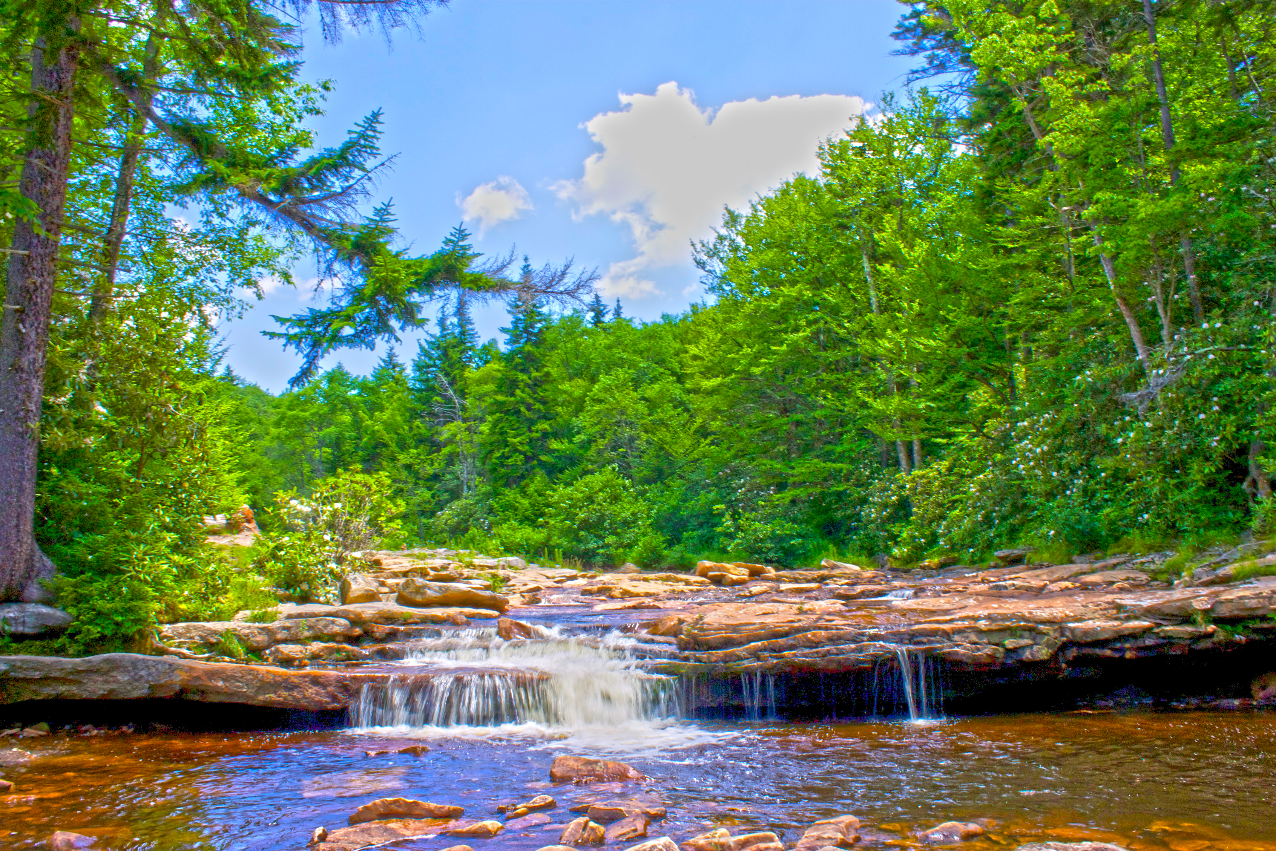 Dolly sods clearance hiking